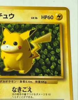 Pokemon Ivy Pikachu CoroCoro Promo Glossy Ken Sugimori Error Japanese LP - Image 4