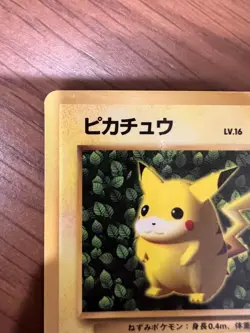 Pokemon Ivy Pikachu CoroCoro Promo Glossy Ken Sugimori Error Japanese LP - Image 2