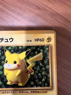 Pokemon Ivy Pikachu CoroCoro Promo Glossy Ken Sugimori Error Japanese LP - Image 3