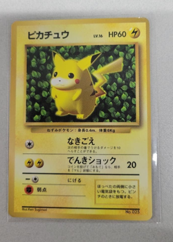 Pokemon Ivy Pikachu CoroCoro Promo Glossy Ken Sugimori Error Japanese LP - Image 1