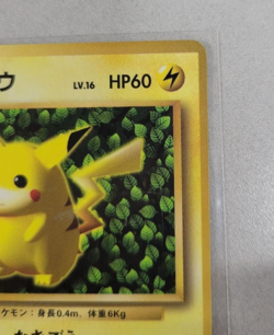Pokemon Ivy Pikachu CoroCoro Promo Glossy Ken Sugimori Error Japanese LP - Image 3