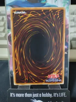 Red-Eyes Toon Dragon Yu-Gi-Oh SHVI-JP036 Rare B Yugioh Card OCG JAPAN - Image 3