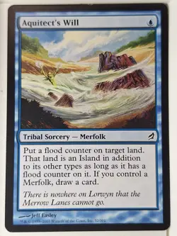 Aquitect's Will - Lorwyn - Magic the Gathering MTG Nice! - Image 1