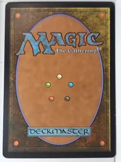Aquitect's Will - Lorwyn - Magic the Gathering MTG Nice! - Image 2
