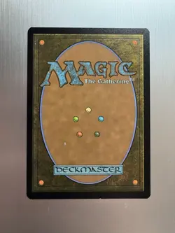 Great Hall Of The Biblioplex - 361 - MTG: Secrets of Strixhaven - Extended Art - Image 2