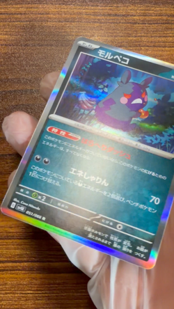 Pokemon Card Morpeko R 051/066 SV4K Ancient Roar Japanese PM0019 - Image 2