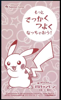 Pokemon 2015 Japanese Poncho Wearing Pikachu Business Card Charizard X - Image 2