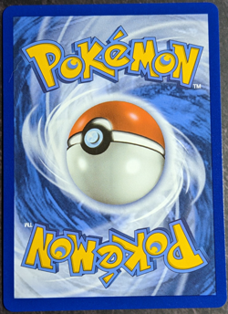 Pokemon TCG — Lance Full Art 192/195 — Silver Tempest ⭐ (NM) - Image 3