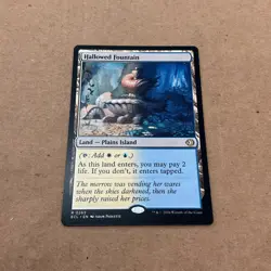 Hallowed Fountain R 0265 Non/foil Lorwyn Eclipsed - MTG - Image 1
