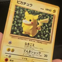 Pokemon Card Ivy Pikachu Glossy CoroCoro Promo No 025 Ken Sugimori Japanese - Image 4