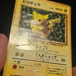 Pokemon Card Ivy Pikachu Glossy CoroCoro Promo No 025 Ken Sugimori Japanese - Image 5