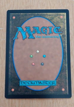 The Shire (345) Rare Magic the Gathering card - Image 3