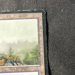 Brushland Ice Age Regular - Image 3