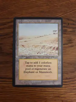 Magic The Gathering Arabian Nights Elephant Graveyard 1993 - Image 1