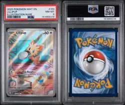 Pokemon Lillipup Sv: White Flare Illustration Rare Holo 154/086 PSA 8 - Image 3