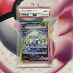 PSA 8 Terapagos ex 170/142 SIR Sv07: Stellar Crown Holo Pokemon 2024 - Image 1