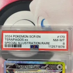 PSA 8 Terapagos ex 170/142 SIR Sv07: Stellar Crown Holo Pokemon 2024 - Image 3