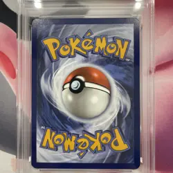PSA 8 Terapagos ex 170/142 SIR Sv07: Stellar Crown Holo Pokemon 2024 - Image 5