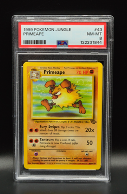 Primeape 1999 Pokemon Jungle Unlimited #43 WOTC PSA 8 Newly Graded - Image 1
