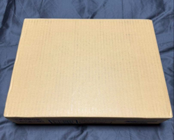 Pokemon Card Terastal Festival ex 1 case 20 booster box SV8A japanese - Image 3