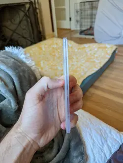 1999 Pokemon Fossil 1st Edition Cloyster 32 PSA Mint 9 - Image 2