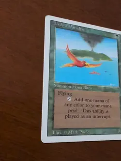 Birds of Paradise Revised 3rd Edition Lightly Played Third MTG - Image 2
