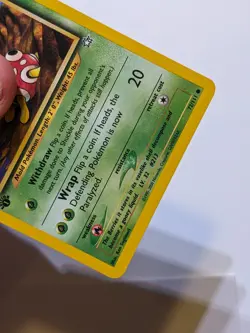 Shuckle 72/111 1st Edition Common Neo Genesis Pokemon Card Mint - NM - Image 3