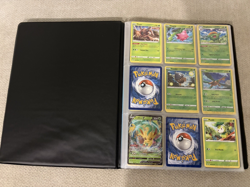 Pokemon Evolving Skies Near Complete Base Set + Binder - TCG Cards - Image 1