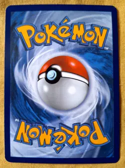 17p Auctions: Totodile 41/217 Common Regular | ME: Ascended Heroes - Pokemon TCG - Image 2
