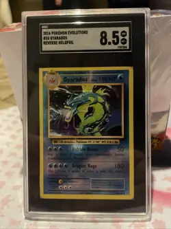 2016 Pokemon XY Evolutions Gyarados-Holo #34 SGC 8.5 - Image 1