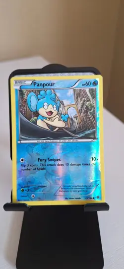 200+ Pokemon Card Lot - Black & White / XY Era - CommonsUncommons Holos, NM-LP - Image 5