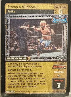 WWE RAW DEAL STONE COLD STEVE AUSTIN 24 CARD LOT - Image 5