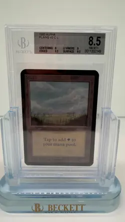 1993 Magic: The Gathering - Limited Edition Alpha PLAINS V2 BGS 8.5 MINT - MTG - Image 1
