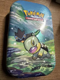 Pokemon TCG: Sinnoh Stars Mini Tin | Turtwig & Luxray Empty Tin - Image 3
