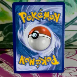 Gyarados GX - SM212 - Black Star Promo - Sun & Moon - English - Pokemon - Image 2