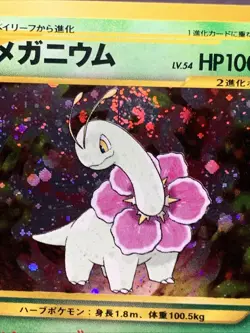 Pokemon TCG JPN Johto Starters Gold, Silver to a New World Holo Rare VTG 2000 - Image 5