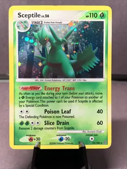 Pokemon TCG Sceptile 10/100 Cosmos Holo Rare Stormfront Set 2008 - Image 1