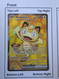 Meowth EX 107/088 Pokemon TCG Perfect Order - Image 2