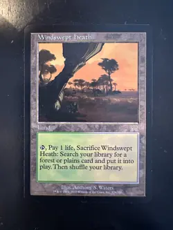 Windswept Heath Onslaught Land Rare MAGIC MTG CARD - Image 1