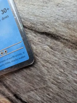 Pokemon TCG - Suicune 026/094 - EB Games Stamped Promo SEALED - NM - Image 3