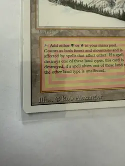 MTG Taiga Revised Edition Dual Land LP/MP+ Vintage Magic The Gathering - Image 3