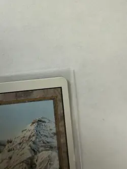 MTG Taiga Revised Edition Dual Land LP/MP+ Vintage Magic The Gathering - Image 5