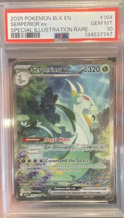 Pokemon Serperior ex Sv: Black Bolt 164/086 Special Illustration Rare PSA 10 SIR - Image 1