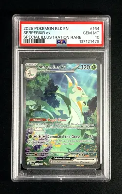 SERPERIOR EX #164/086 - 2025 POKEMON BLACK BOLT SPECIAL ILLUSTRATION RARE PSA 10 - Image 1