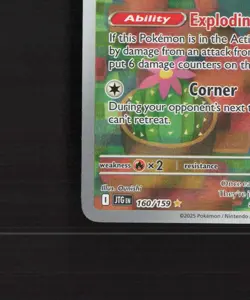 Maractus 160/159 Journey Together Full Art Ultra Rare Holo Pokemon Card NM - Image 5