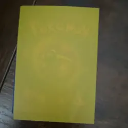 Pokemon Charmander 101/100 Stormfront Holo Secret Rare Basic Card English - Image 2