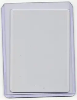 Final Fortune Regular Signed Artist Proof MTG RARE - Image 2