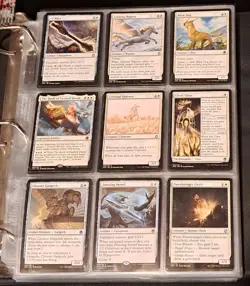 MTG D&D: Forgotten Realms complete base + Tiamat & borderless, full module set - Image 1