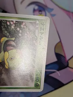 Pokemon Japanese Turtwig Promo - Junior Stamp Rally - 117/DP-P LP - Image 2