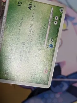 Pokemon Japanese Turtwig Promo - Junior Stamp Rally - 117/DP-P LP - Image 5